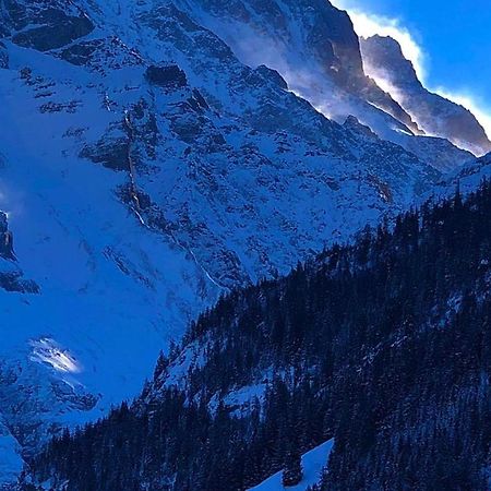 Romantisches Plaetzchen In Der Natur Grindelwald Exterior foto