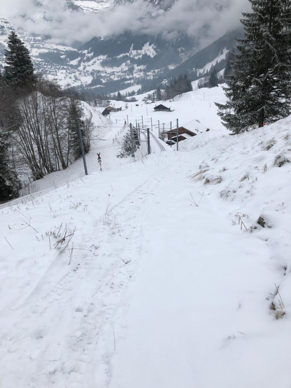 Romantisches Plaetzchen In Der Natur Grindelwald Exterior foto