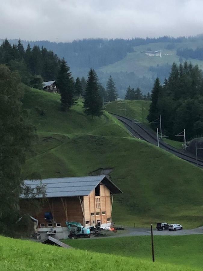 Romantisches Plaetzchen In Der Natur Grindelwald Exterior foto